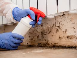 Environmental Consulting for Mold Prevention in Clintonville, WI